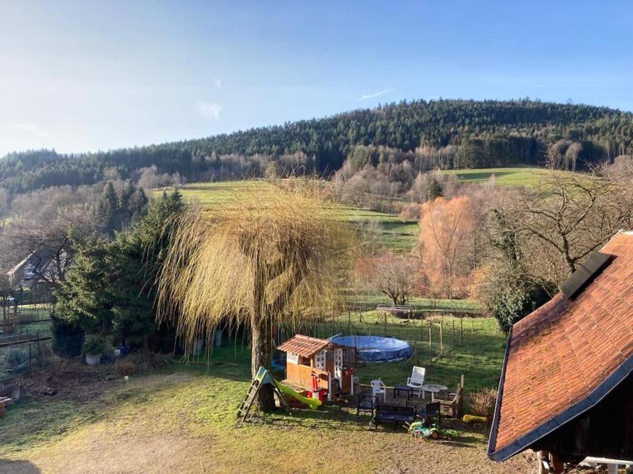 Logement Chaleureux, Vallee De Ville Steige Esterno foto