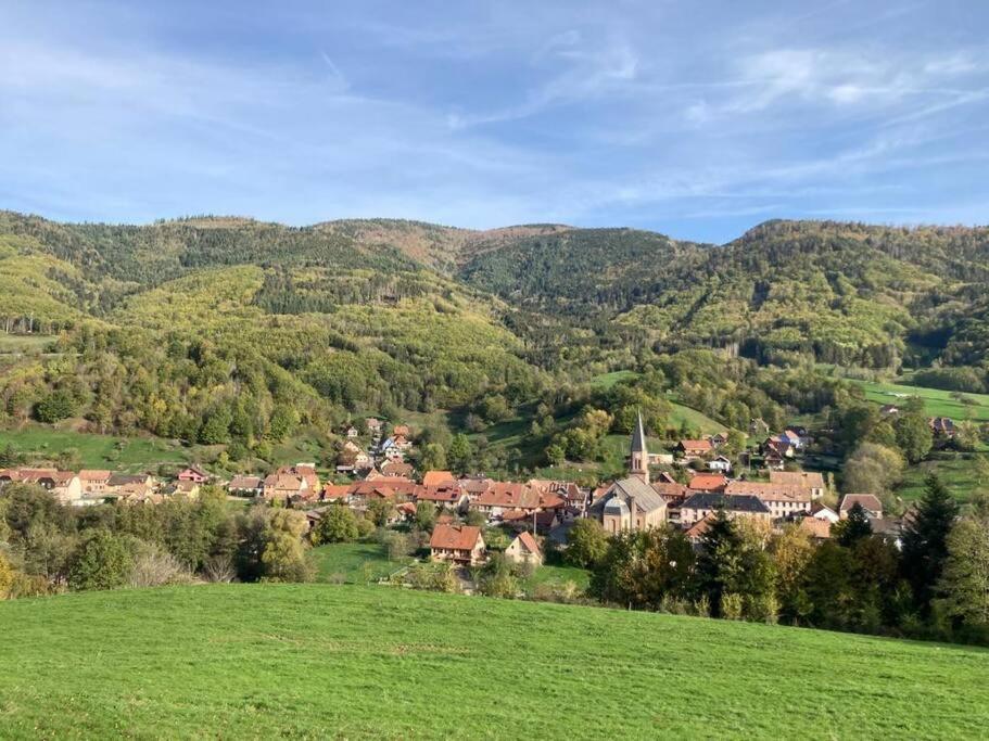 Logement Chaleureux, Vallee De Ville Steige Esterno foto